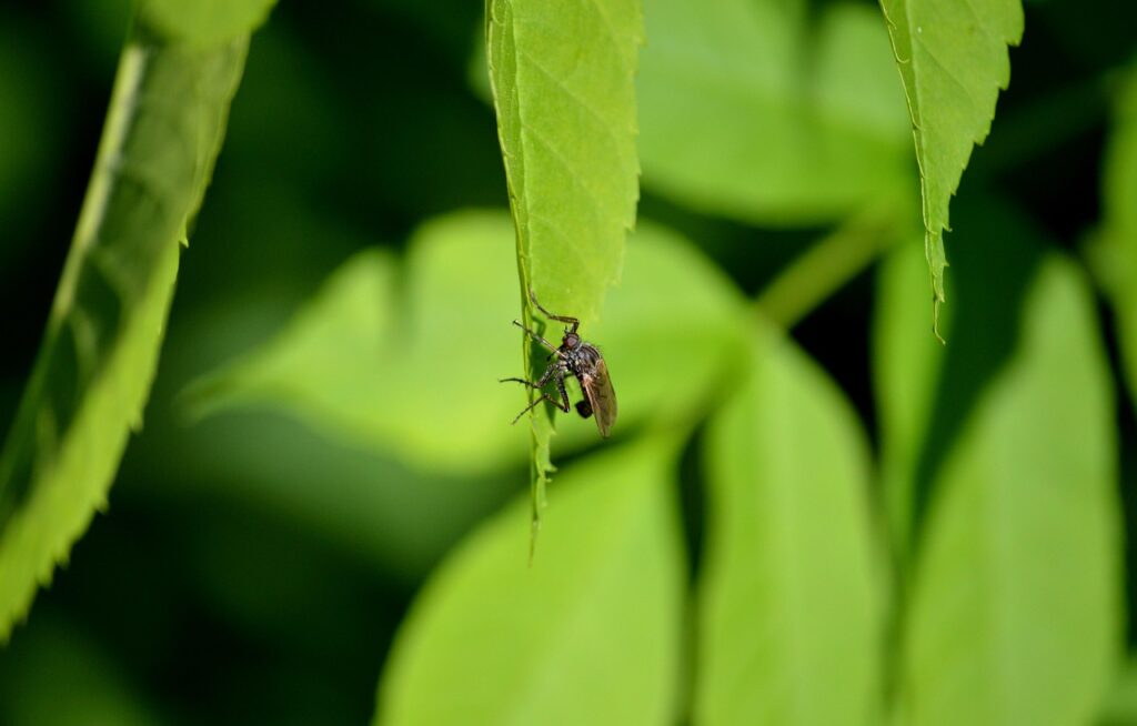ガムを噛みすぎると口臭が悪化する理由とは？