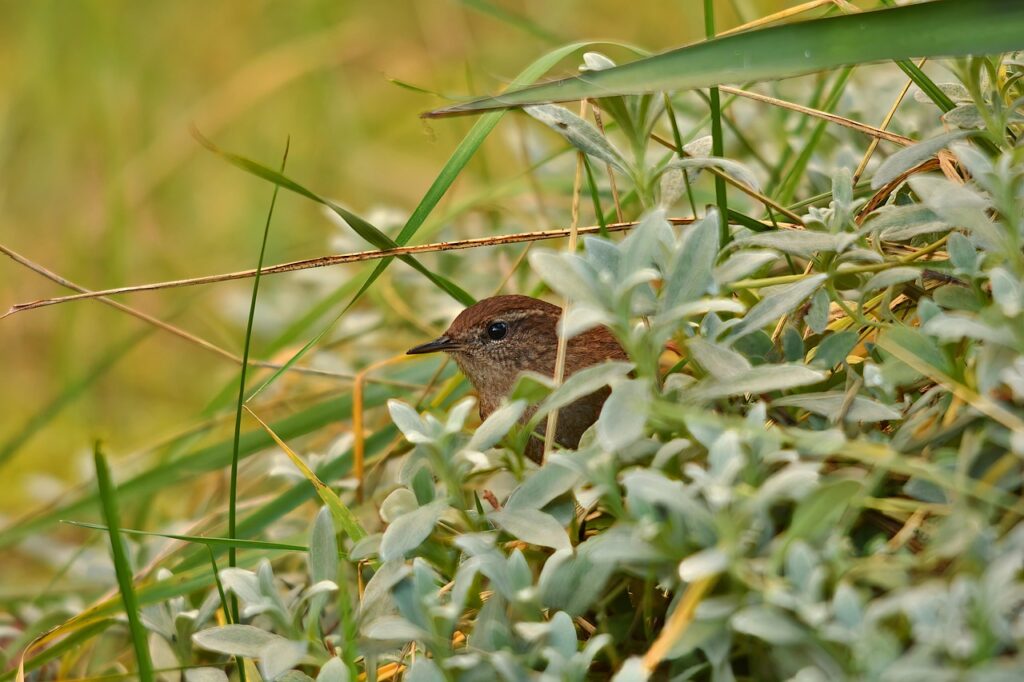 口臭治療の実績があるクリニックはどこですか？