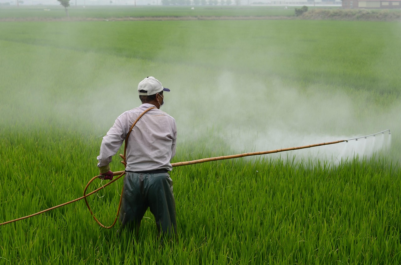 口臭を防ぐための歯磨き粉は研磨剤なしがベストなの？