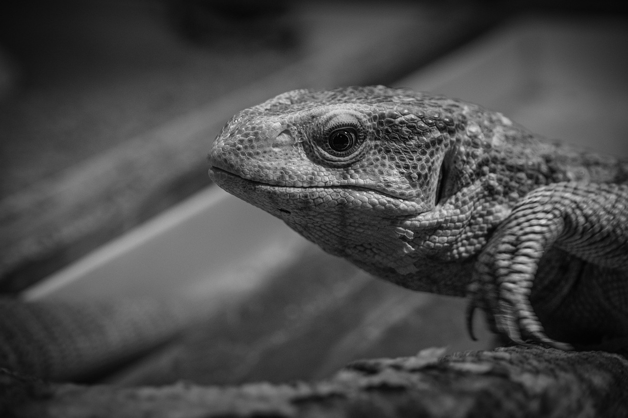 マウスウォッシュの口コミをもとにしたおすすめランキングは？