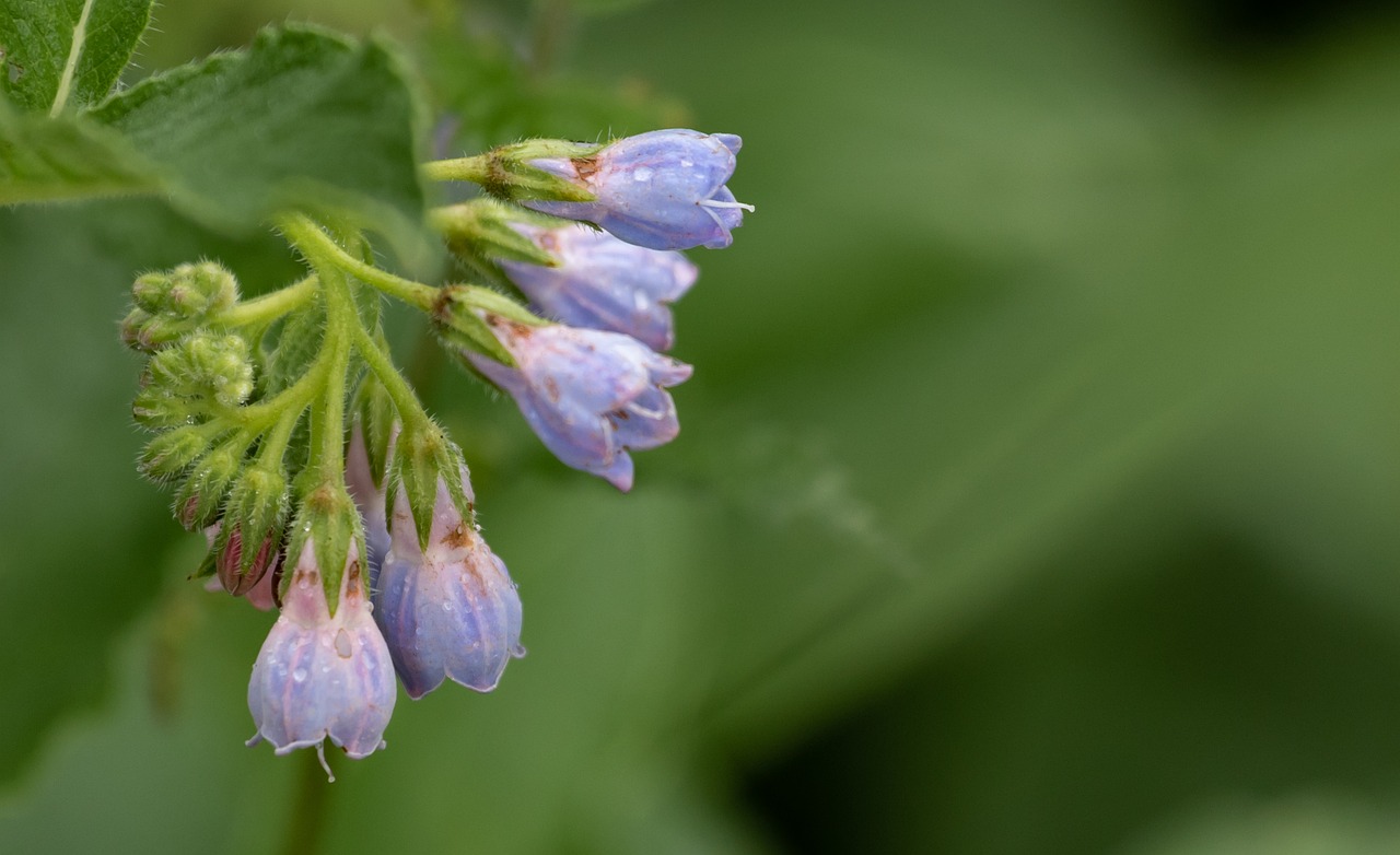 口コミで高評価の口臭対策は何が効果的？