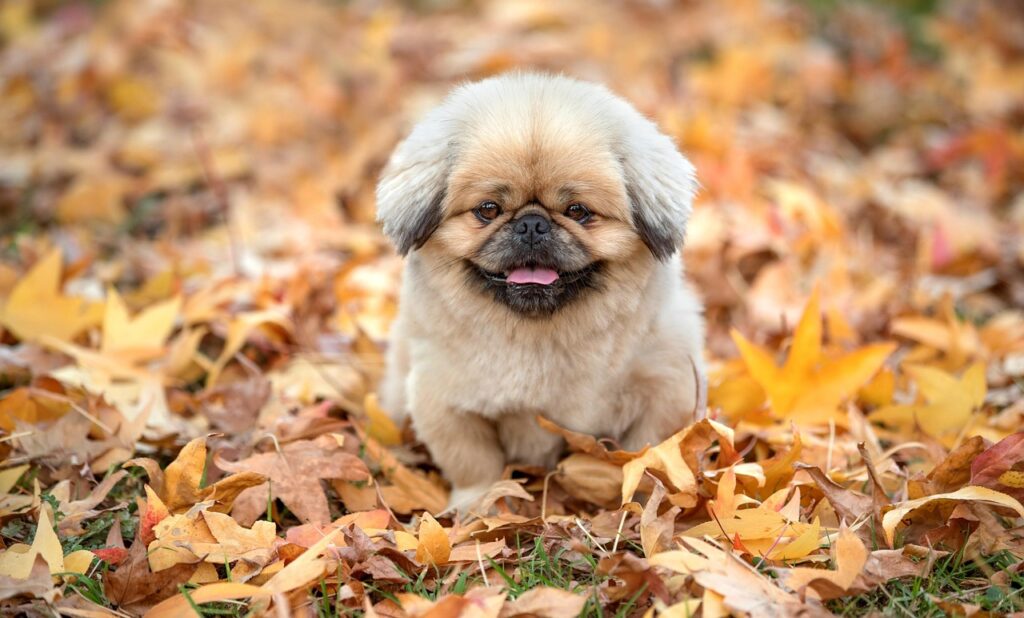 刺激が少ない生活を改善する方法は？