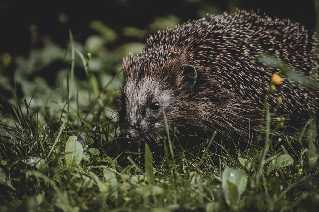 口臭対策に効果的な即効性のある方法は？