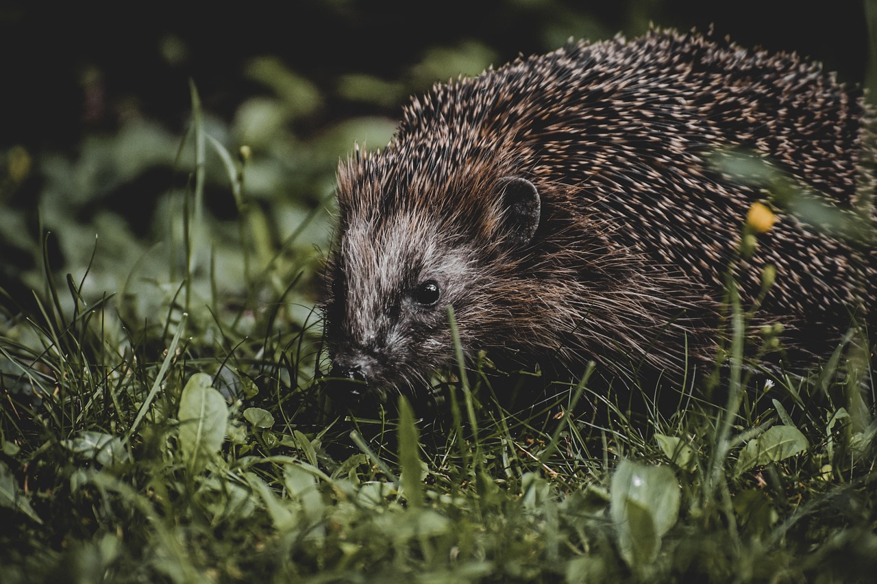 口臭対策に効果的な即効性のある方法は？