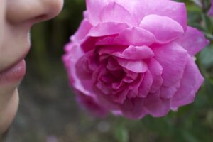 緊張すると口が臭くなる原因と対策は？