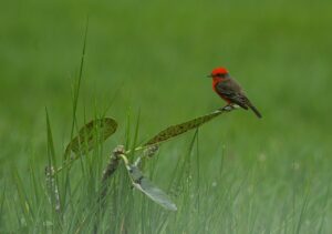 口臭と腸内環境の関係はどのようなものですか？