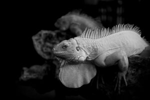 口臭をチェックする方法にはどんなものがある？