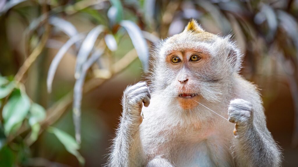 デンタルフロスの効果とはどのようなものですか？