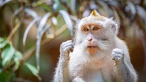 デンタルフロスの効果とはどのようなものですか？