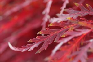 ドライマウスが原因の口臭を改善する方法は？