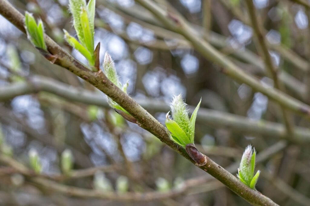 口臭の原因は胃炎によるものなのか？