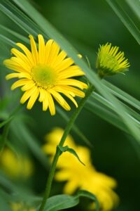 口臭の悩みを解消する方法は？