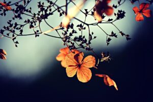 ドライマウスが原因の口臭はどう対策すればいい？