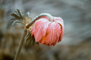 朝起きた時の口臭対策はこれで決まり？